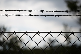 Fence and barbed wire